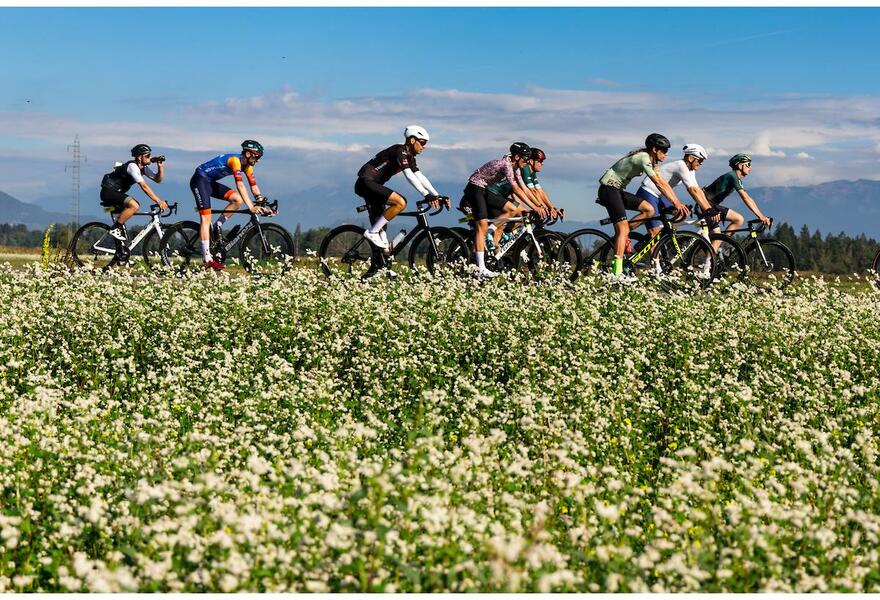 L'Etape Slovenia on Sunday
